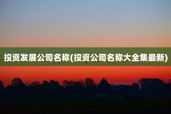 投资发展公司名称(投资公司名称大全集最新)