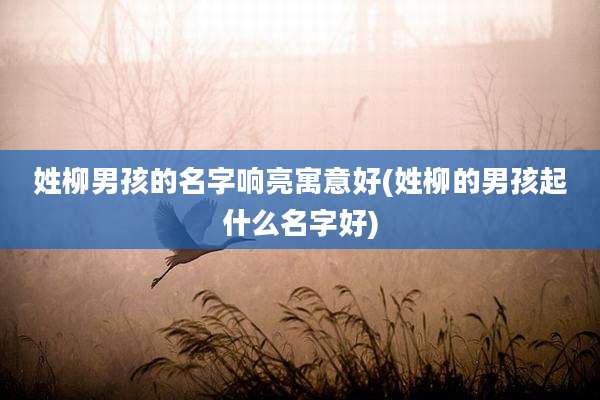 姓柳男孩的名字响亮寓意好(姓柳的男孩起什么名字好)