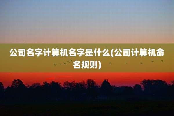 公司名字计算机名字是什么(公司计算机命名规则)