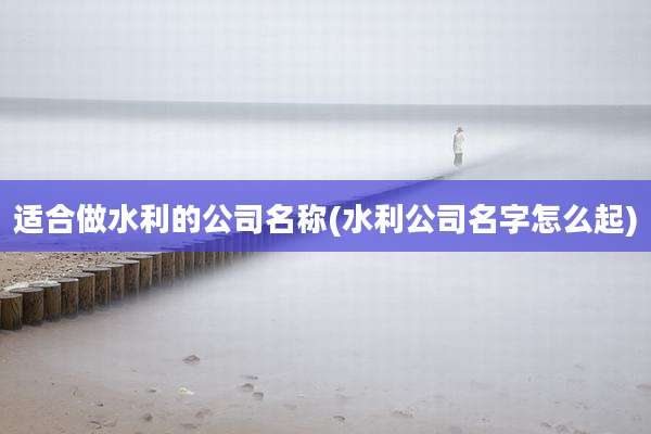 适合做水利的公司名称(水利公司名字怎么起)
