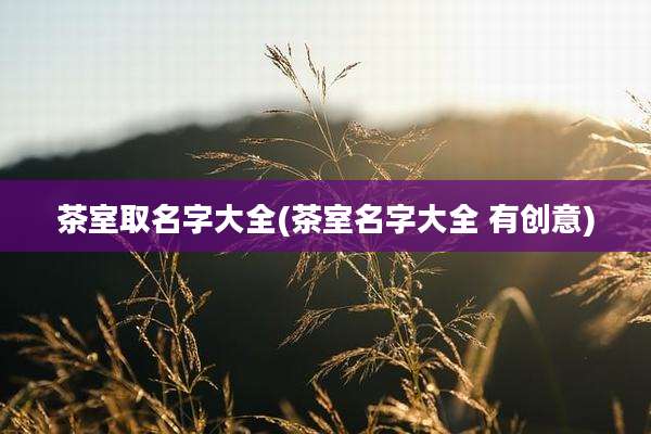 茶室取名字大全(茶室名字大全 有创意)