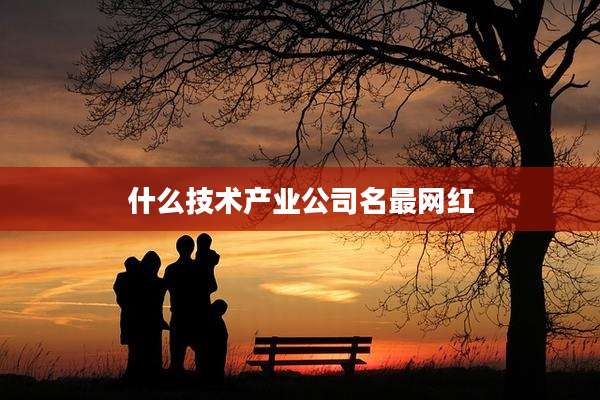 什么技术产业公司名最网红