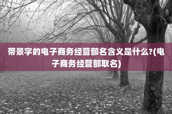 带景字的电子商务经营部名含义是什么?(电子商务经营部取名)