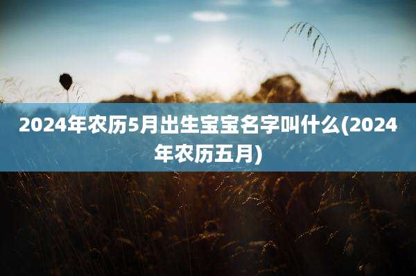 2024年农历5月出生宝宝名字叫什么(2024年农历五月)