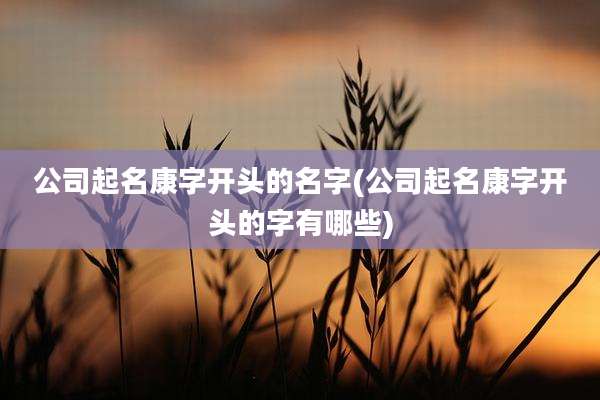公司起名康字开头的名字(公司起名康字开头的字有哪些)
