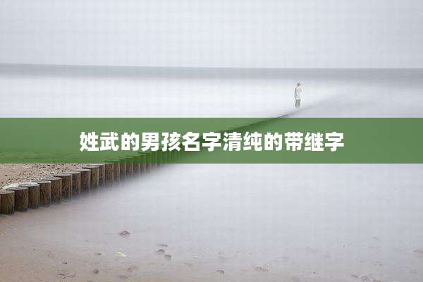 姓武的男孩名字清纯的带继字