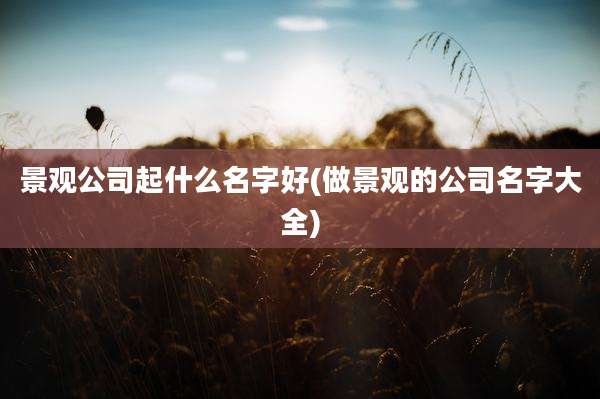 景观公司起什么名字好(做景观的公司名字大全)