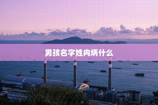 男孩名字姓冉炳什么