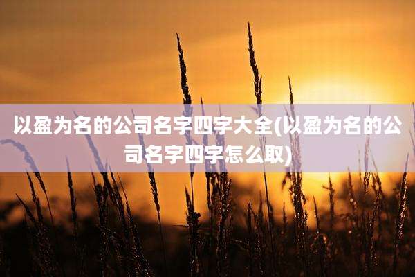 以盈为名的公司名字四字大全(以盈为名的公司名字四字怎么取)