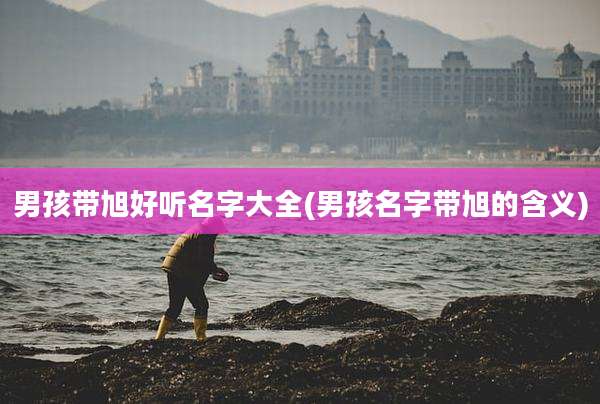 男孩带旭好听名字大全(男孩名字带旭的含义)
