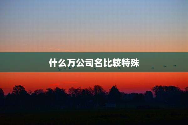 什么万公司名比较特殊