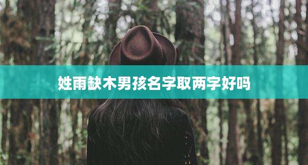 姓雨缺木男孩名字取两字好吗