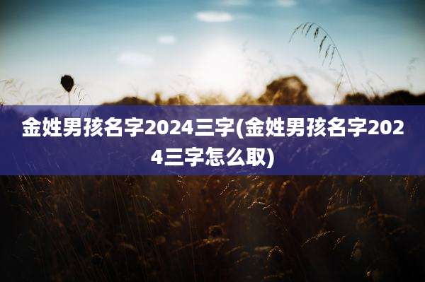 金姓男孩名字2024三字(金姓男孩名字2024三字怎么取)