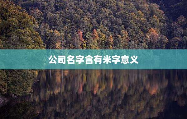 公司名字含有米字意义