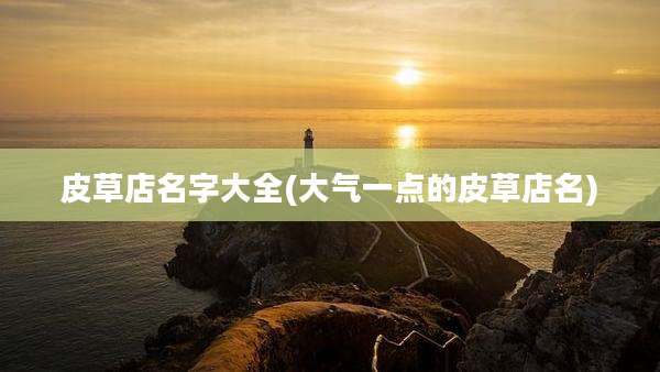 皮草店名字大全(大气一点的皮草店名)