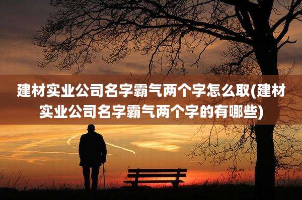 建材实业公司名字霸气两个字怎么取(建材实业公司名字霸气两个字的有哪些)