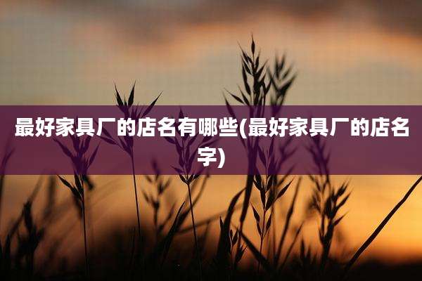 最好家具厂的店名有哪些(最好家具厂的店名字)