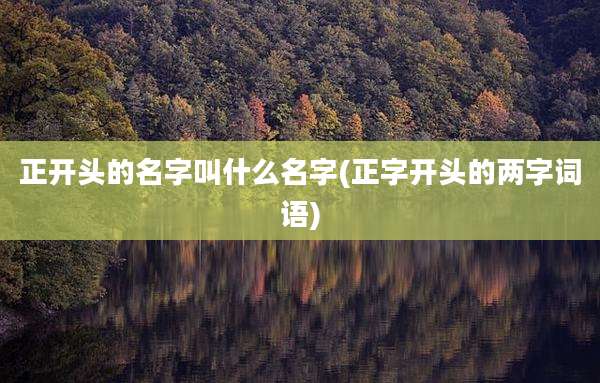 正开头的名字叫什么名字(正字开头的两字词语)