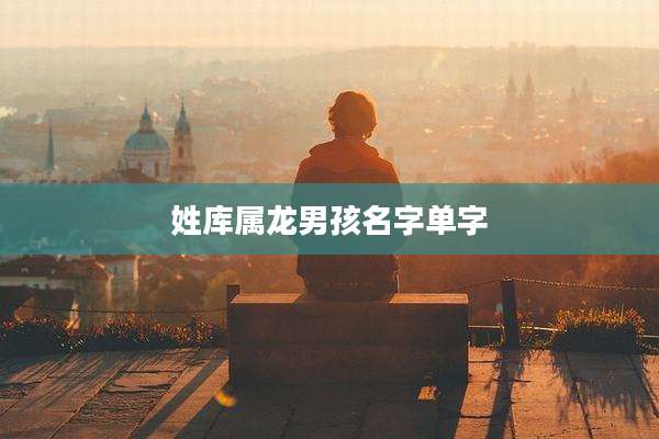 姓库属龙男孩名字单字