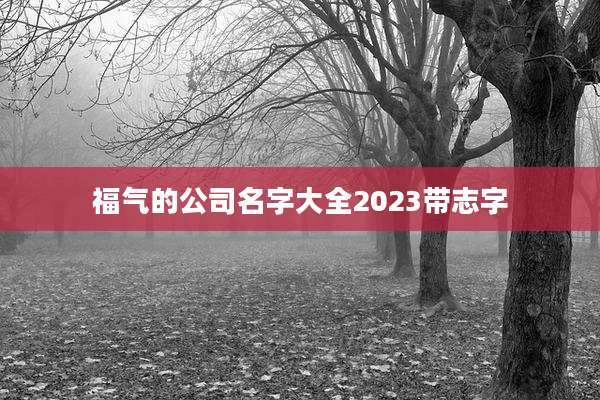 福气的公司名字大全2023带志字