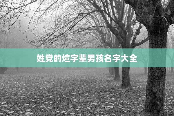 姓党的煊字辈男孩名字大全