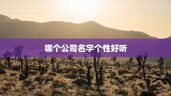 哪个公司名字个性好听