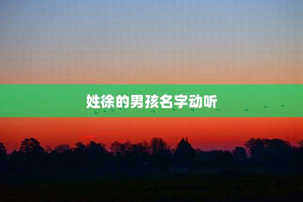 姓徐的男孩名字动听