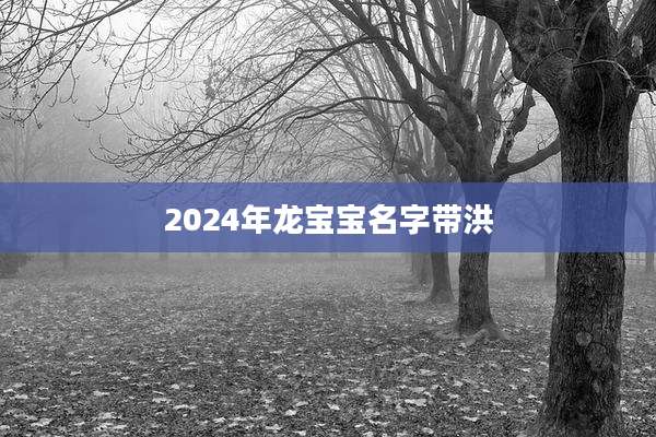 2024年龙宝宝名字带洪