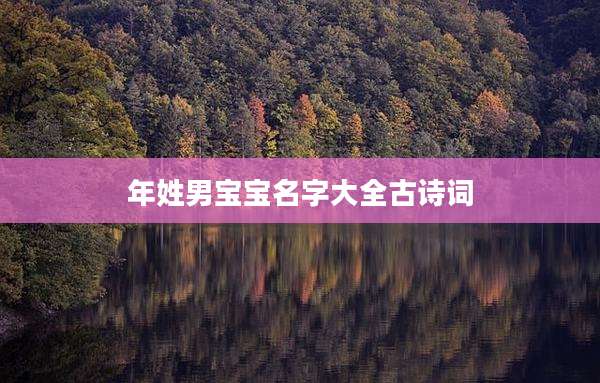 年姓男宝宝名字大全古诗词