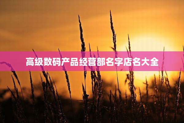 高级数码产品经营部名字店名大全