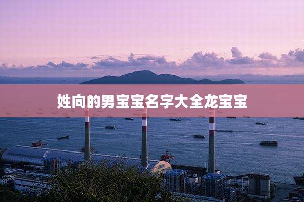 姓向的男宝宝名字大全龙宝宝