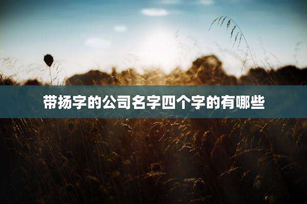 带扬字的公司名字四个字的有哪些