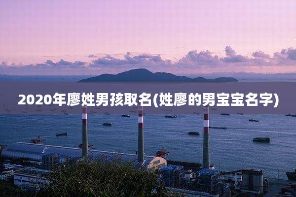 2020年廖姓男孩取名(姓廖的男宝宝名字)