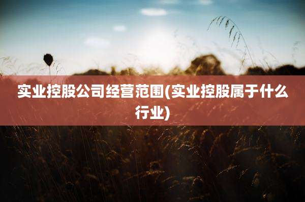 实业控股公司经营范围(实业控股属于什么行业)