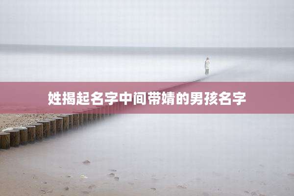 姓揭起名字中间带婧的男孩名字