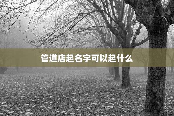 管道店起名字可以起什么