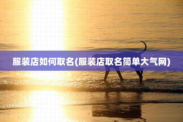 服装店如何取名(服装店取名简单大气网)