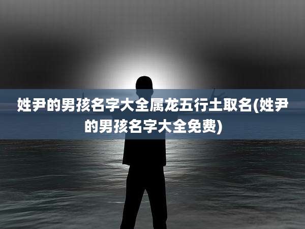 姓尹的男孩名字大全属龙五行土取名(姓尹的男孩名字大全免费)
