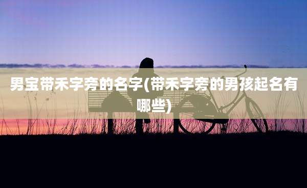 男宝带禾字旁的名字(带禾字旁的男孩起名有哪些)