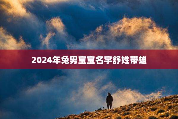 2024年兔男宝宝名字舒姓带雄