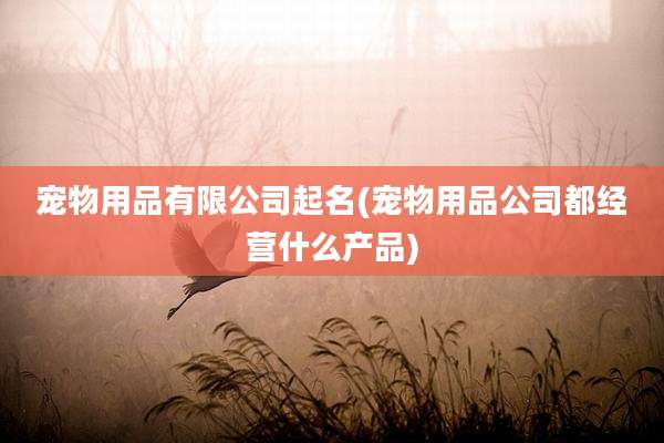 宠物用品有限公司起名(宠物用品公司都经营什么产品)