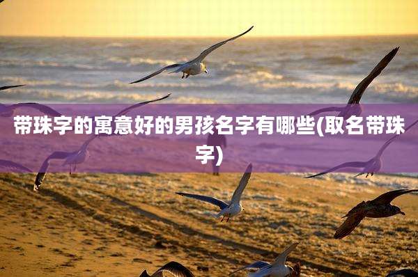 带珠字的寓意好的男孩名字有哪些(取名带珠字)