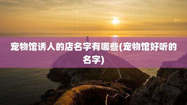宠物馆诱人的店名字有哪些(宠物馆好听的名字)