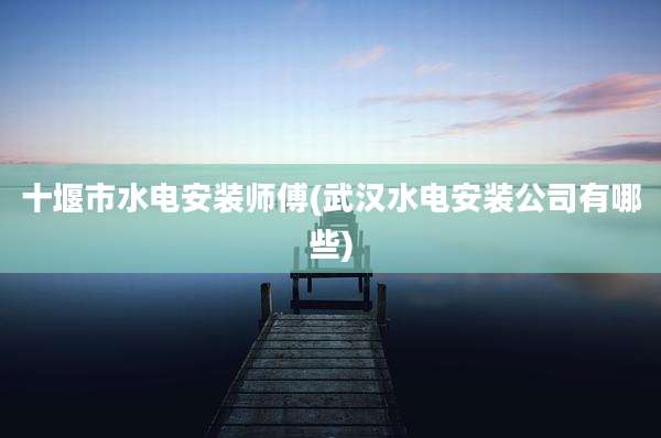 十堰市水电安装师傅(武汉水电安装公司有哪些)