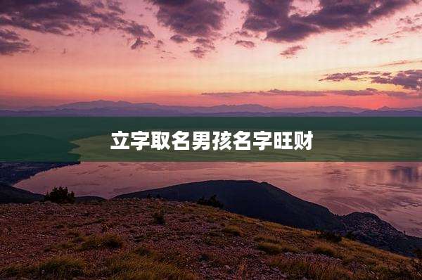 立字取名男孩名字旺财