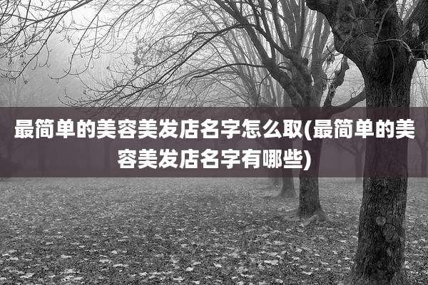 最简单的美容美发店名字怎么取(最简单的美容美发店名字有哪些)