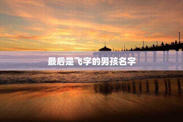 最后是飞字的男孩名字