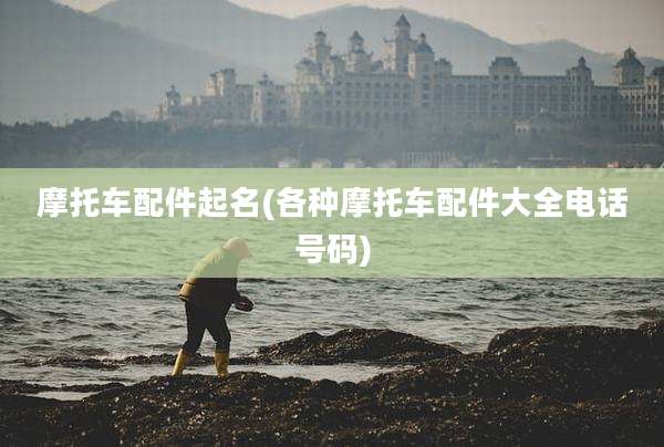 摩托车配件起名(各种摩托车配件大全电话号码)