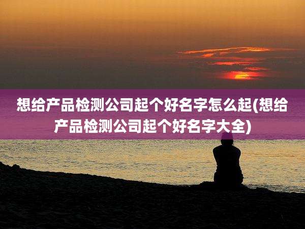 想给产品检测公司起个好名字怎么起(想给产品检测公司起个好名字大全)