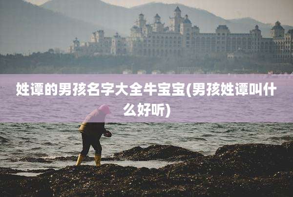 姓谭的男孩名字大全牛宝宝(男孩姓谭叫什么好听)